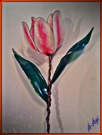 3D tulipán 1